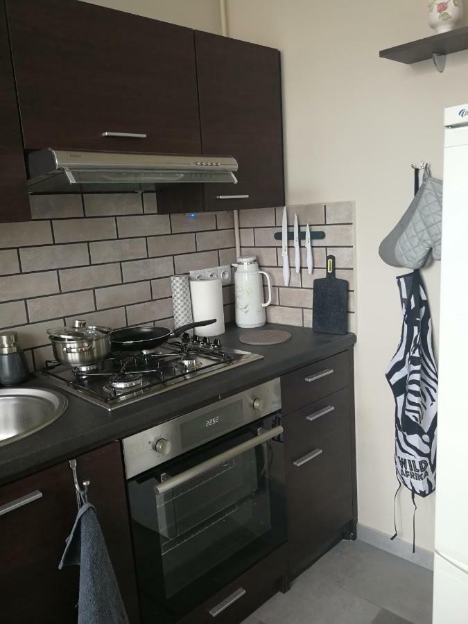 גדינייה Apartament Pmc מראה חיצוני תמונה