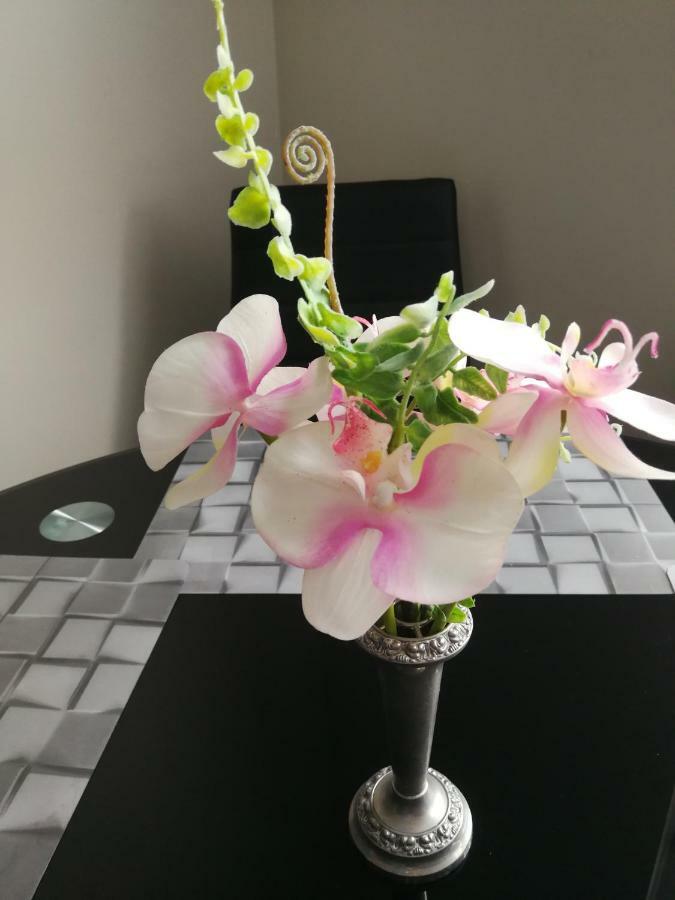גדינייה Apartament Pmc מראה חיצוני תמונה