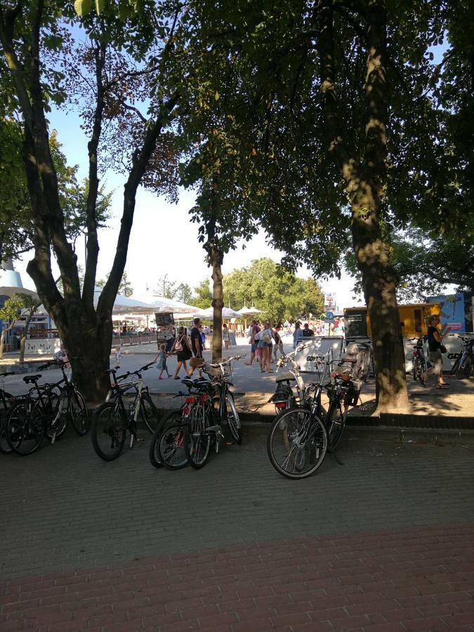 גדינייה Apartament Pmc מראה חיצוני תמונה